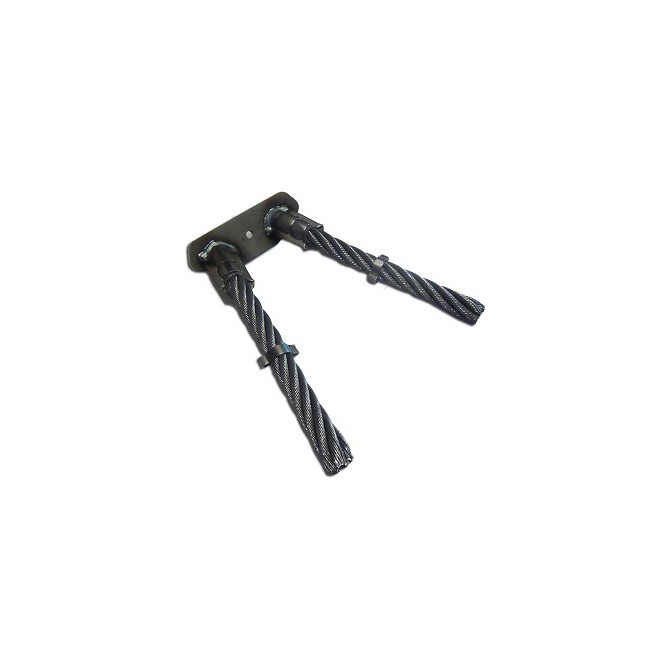 SECTION DE 2 BROSSES CURATIF